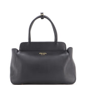 Frame Tote Soft Grain Leather Medium