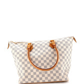 Saleya Handbag Damier MM