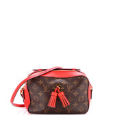 Saintonge Handbag Monogram Canvas with Leather