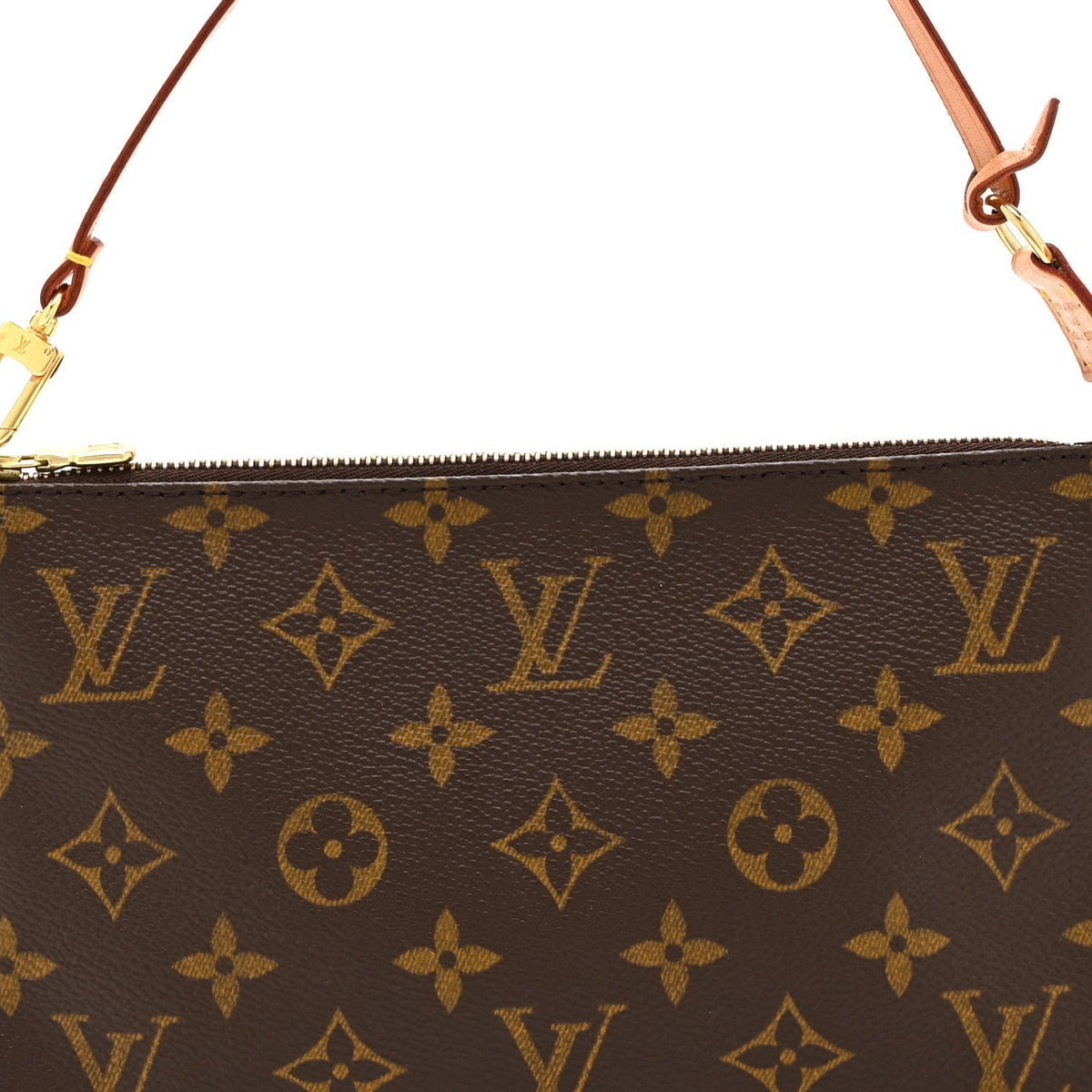Louis Vuitton Monogram Canvas Pochette Accessories Bag Brown