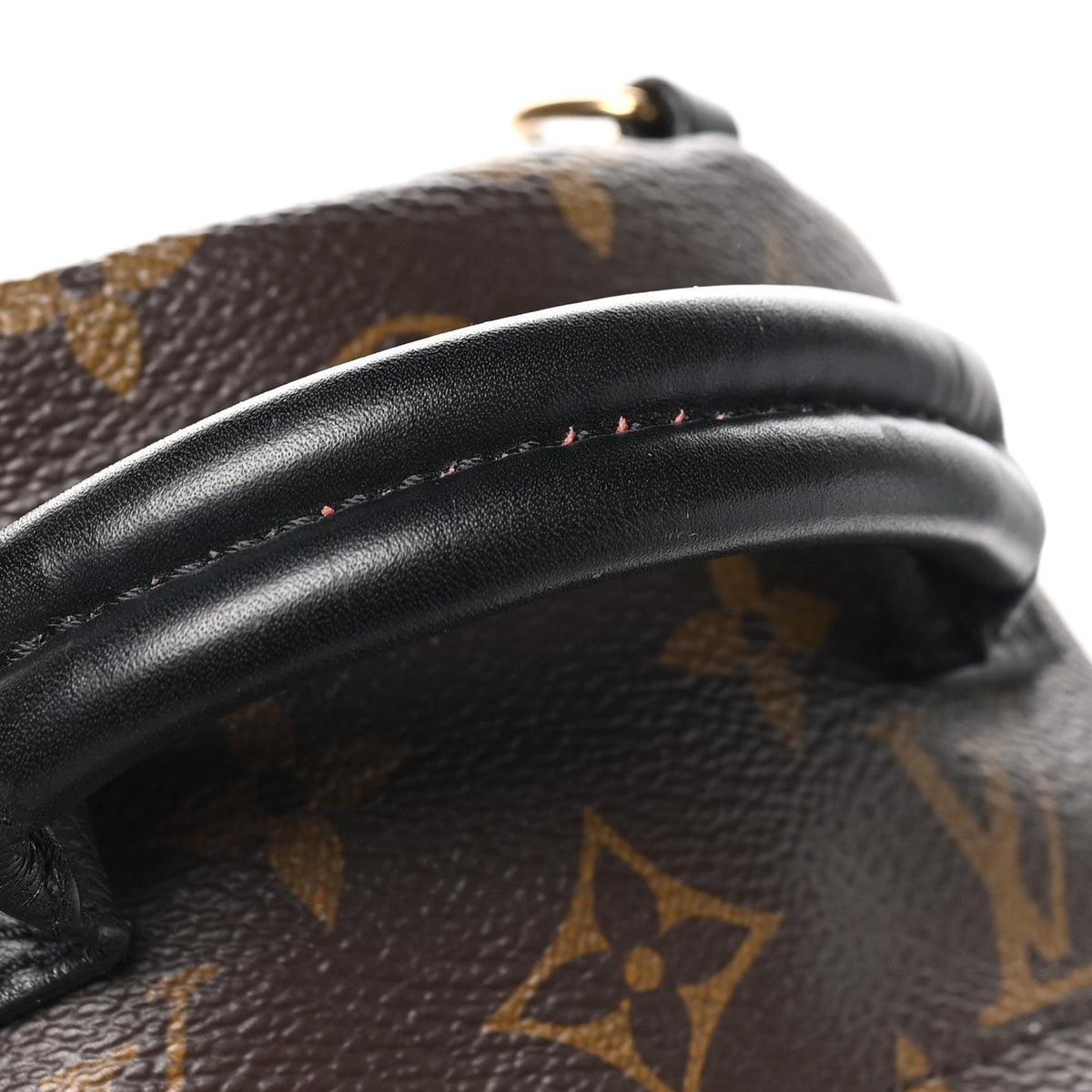 Louis Vuitton Monogram Canvas Palm Springs Backpack Mini Brown