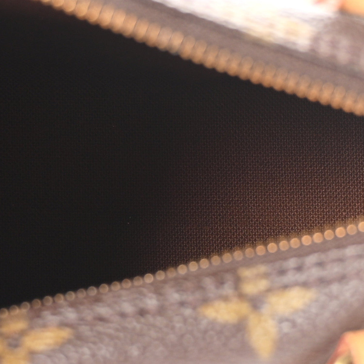 Louis Vuitton Monogram Canvas Mini Sac HL Speedy Brown 1983560