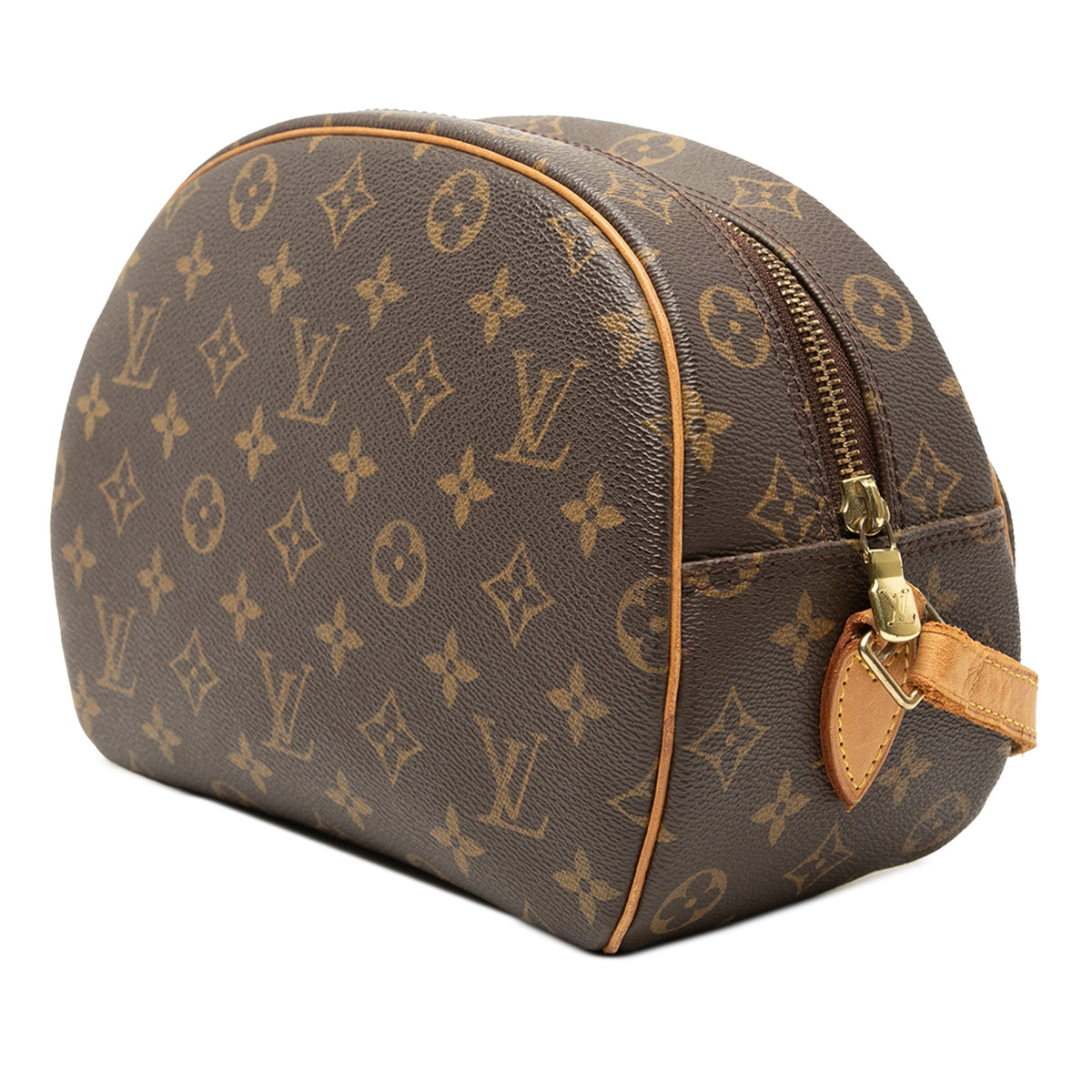 Blois Handbag Monogram Canvas