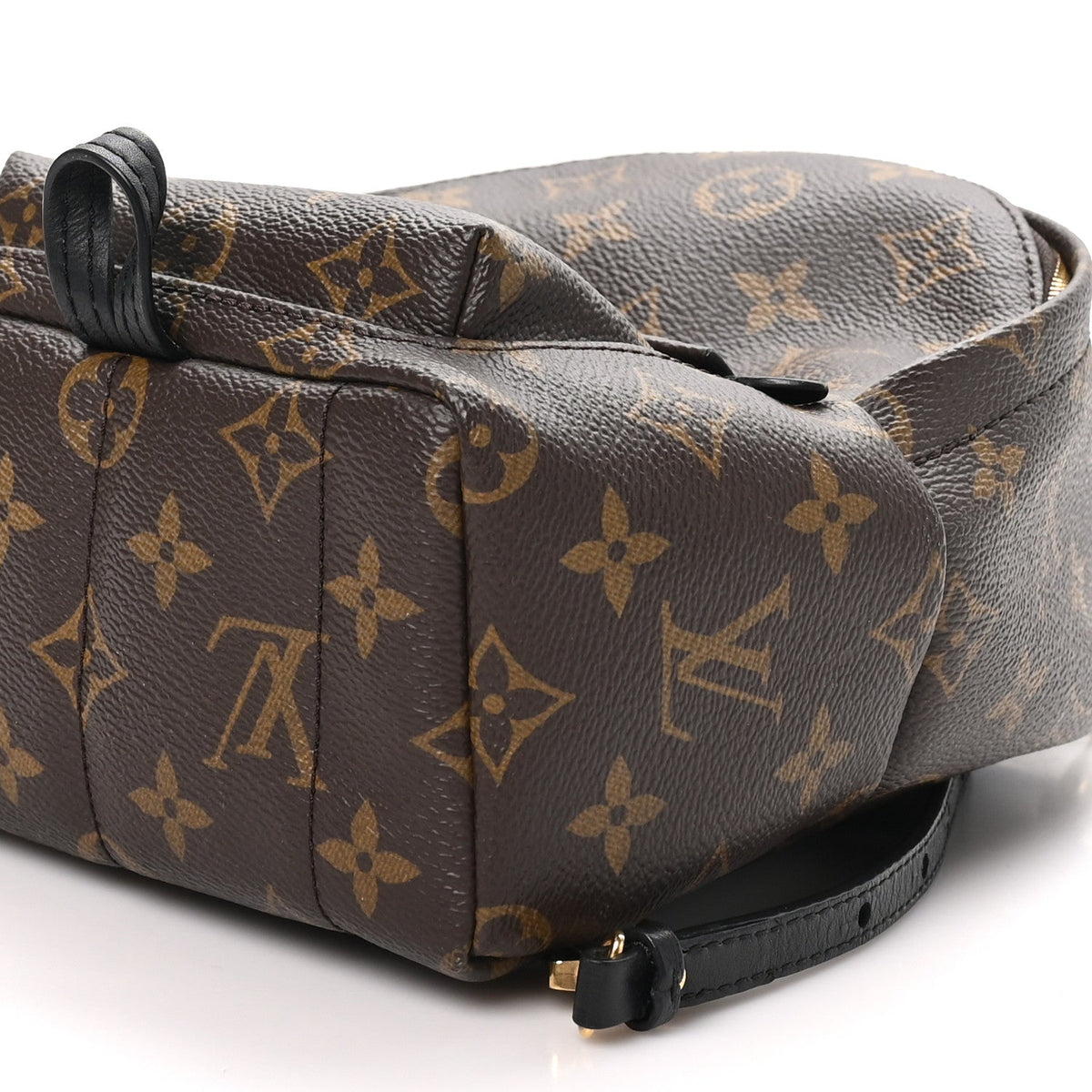 Louis Vuitton Monogram Canvas Palm Springs Backpack Mini Brown