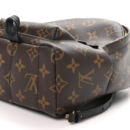 Louis Vuitton Monogram Canvas Palm Springs Backpack Mini Brown
