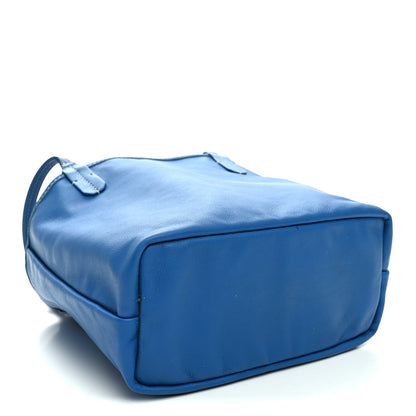 Goyard Goyardine Reversible Mini Anjou Sky Blue