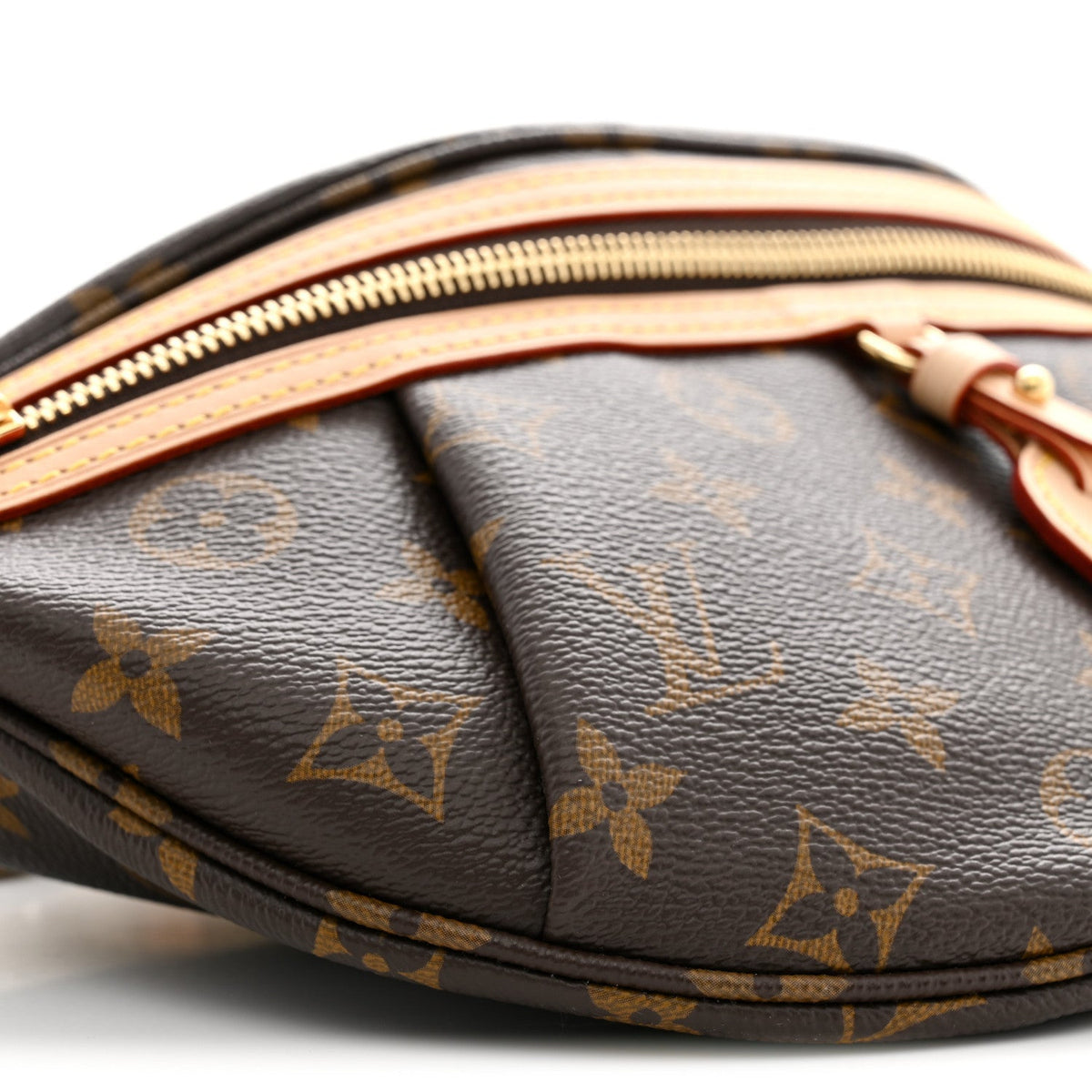 Louis Vuitton Monogram High Rise Bumbag