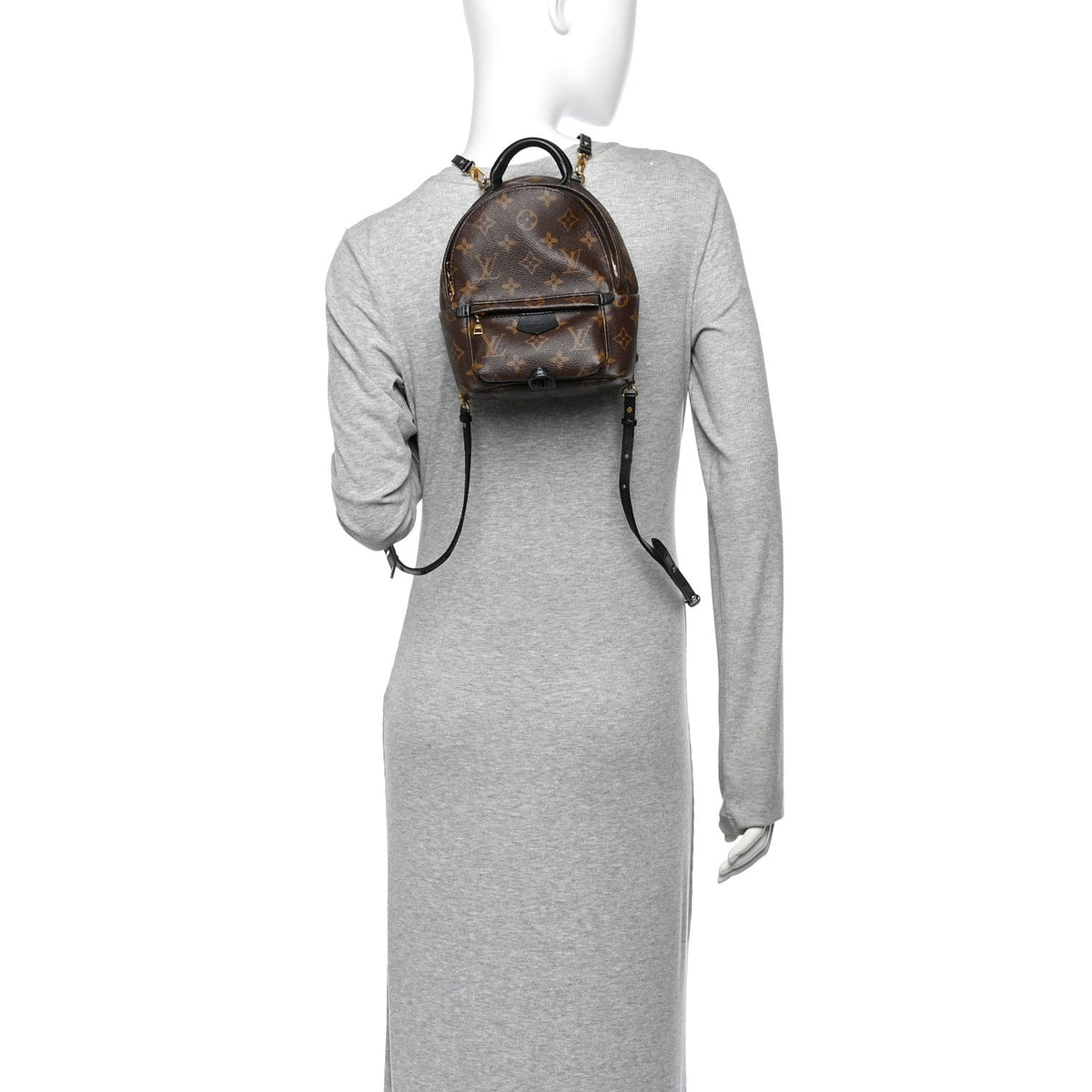 Louis Vuitton Monogram Palm Springs Backpack Mini 1987302
