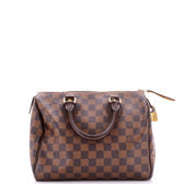 Speedy Handbag Damier 25