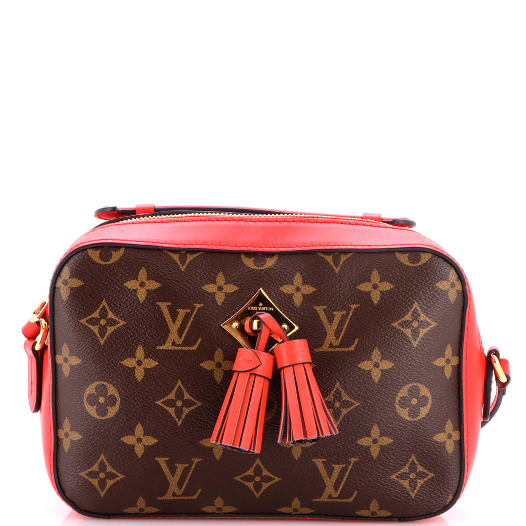 Saintonge Handbag Monogram Canvas with Leather