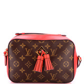 Saintonge Handbag Monogram Canvas with Leather