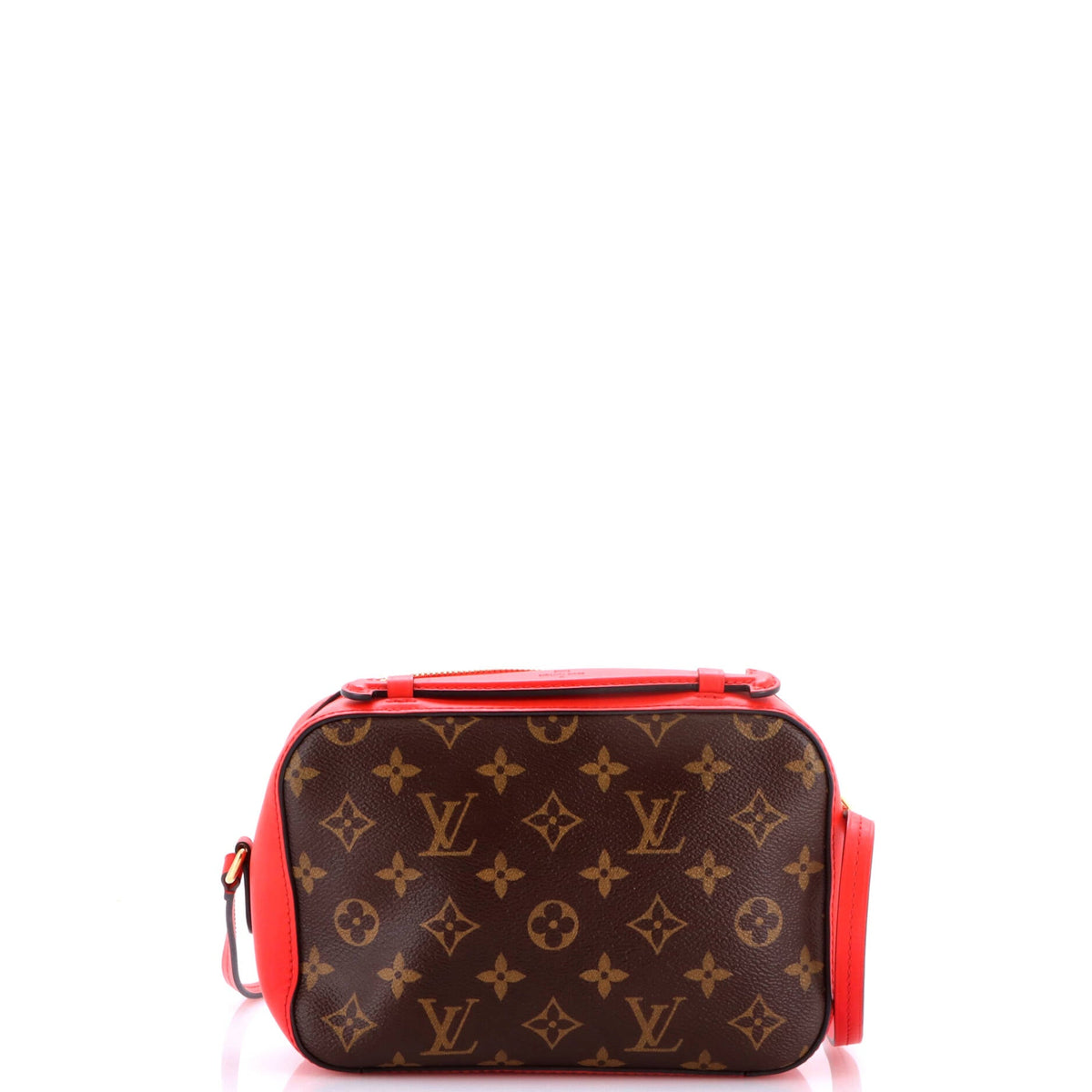Saintonge Handbag Monogram Canvas with Leather