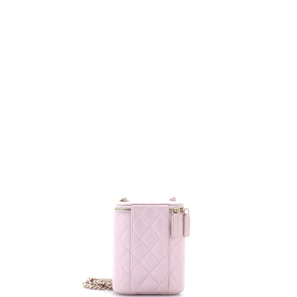 Vertical Classic Vanity Case with Chain Quilted Caviar Small