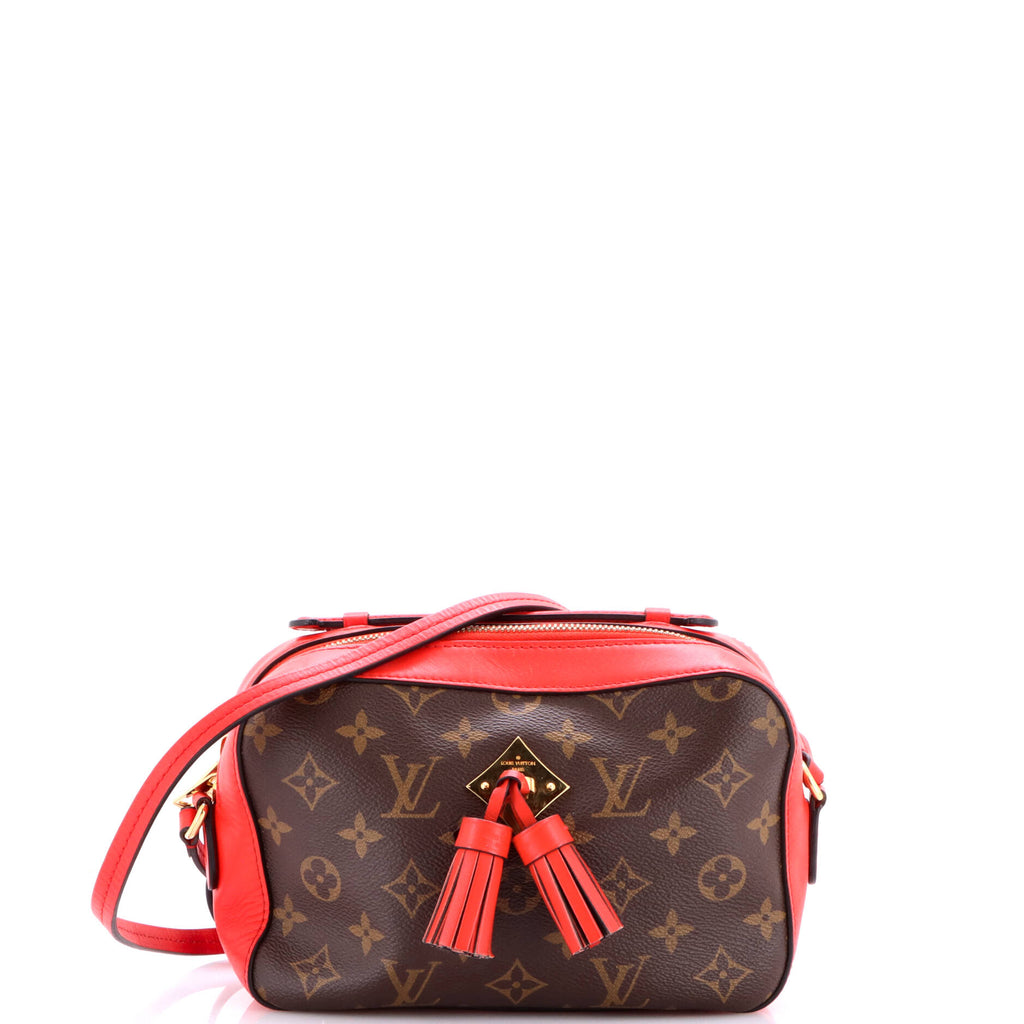 Saintonge Handbag Monogram Canvas with Leather