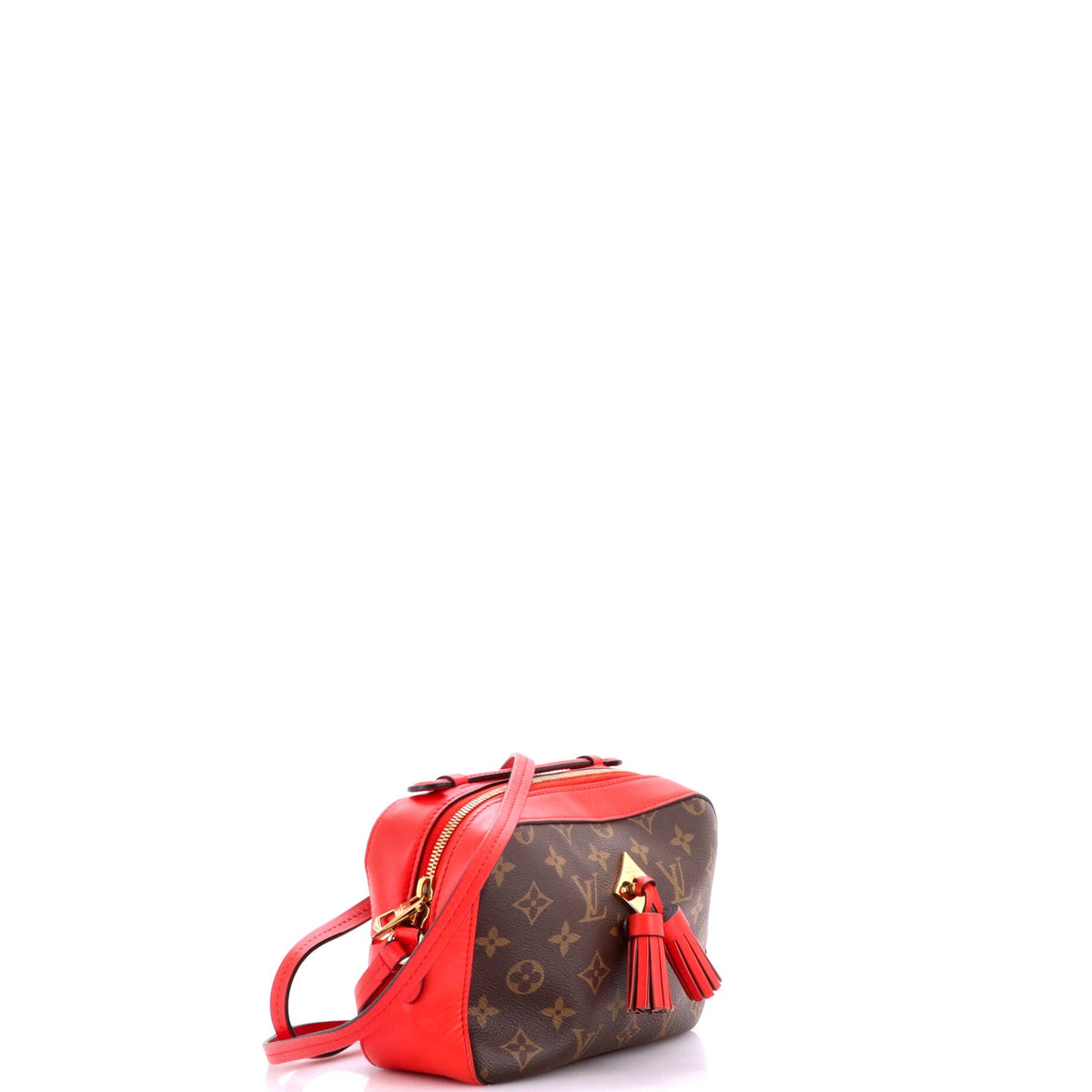 Saintonge Handbag Monogram Canvas with Leather