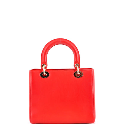 Lady Dior Bag Limited Edition Niki de Saint Phalle Embroidered Leather Medium
