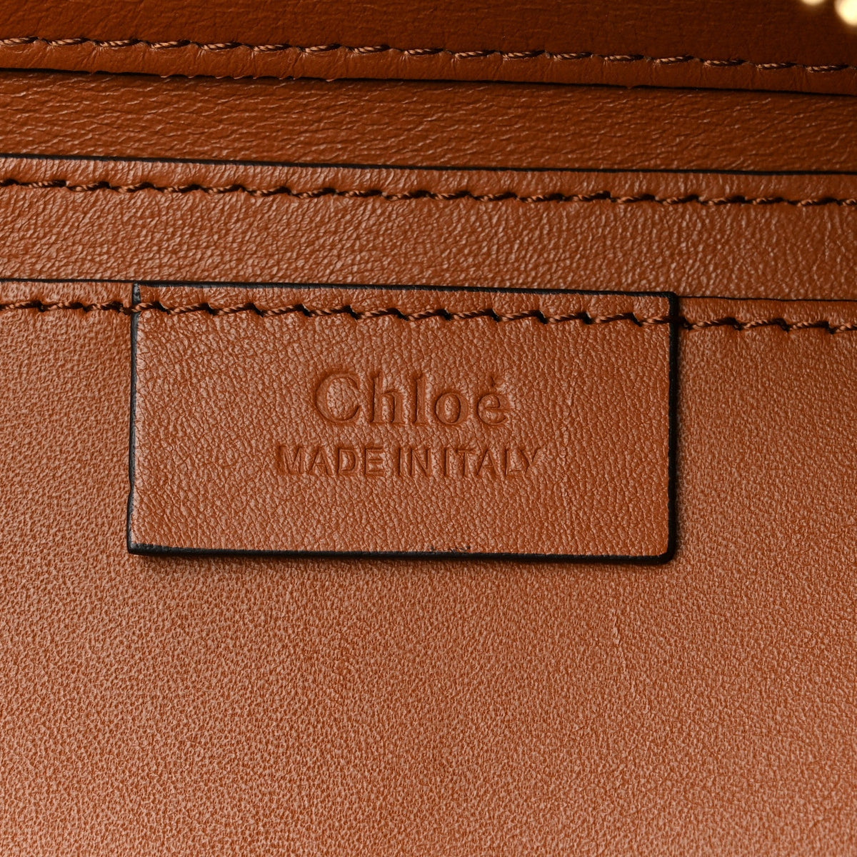 Chloe Calfskin Snakeskin Embossed Small Roy Bag Multicolor