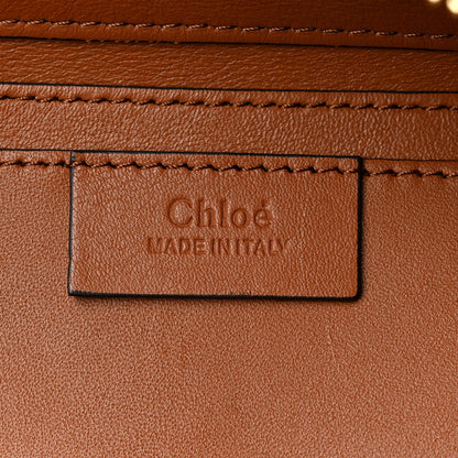 Chloe Calfskin Snakeskin Embossed Small Roy Bag Multicolor