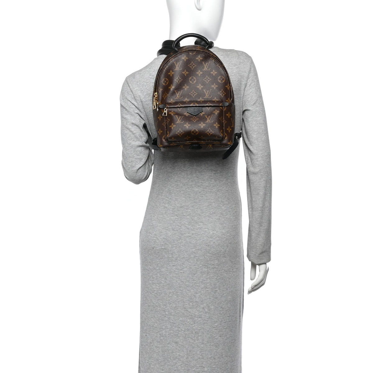 Louis Vuitton Monogram Coated Canvas Palm Springs Backpack PM Brown