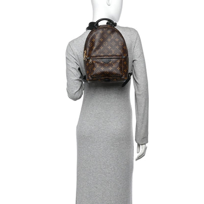 Louis Vuitton Monogram Coated Canvas Palm Springs Backpack PM Brown