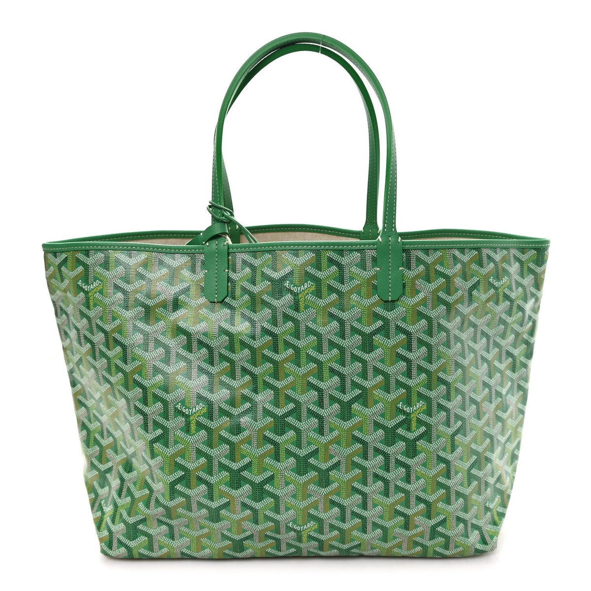 Goyard Goyardine Saint Louis PM Meadow Green 1893063