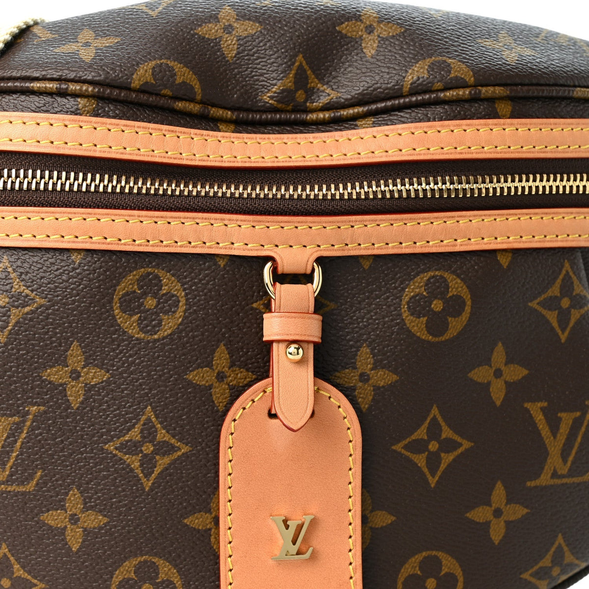 Louis Vuitton Monogram High Rise Bumbag