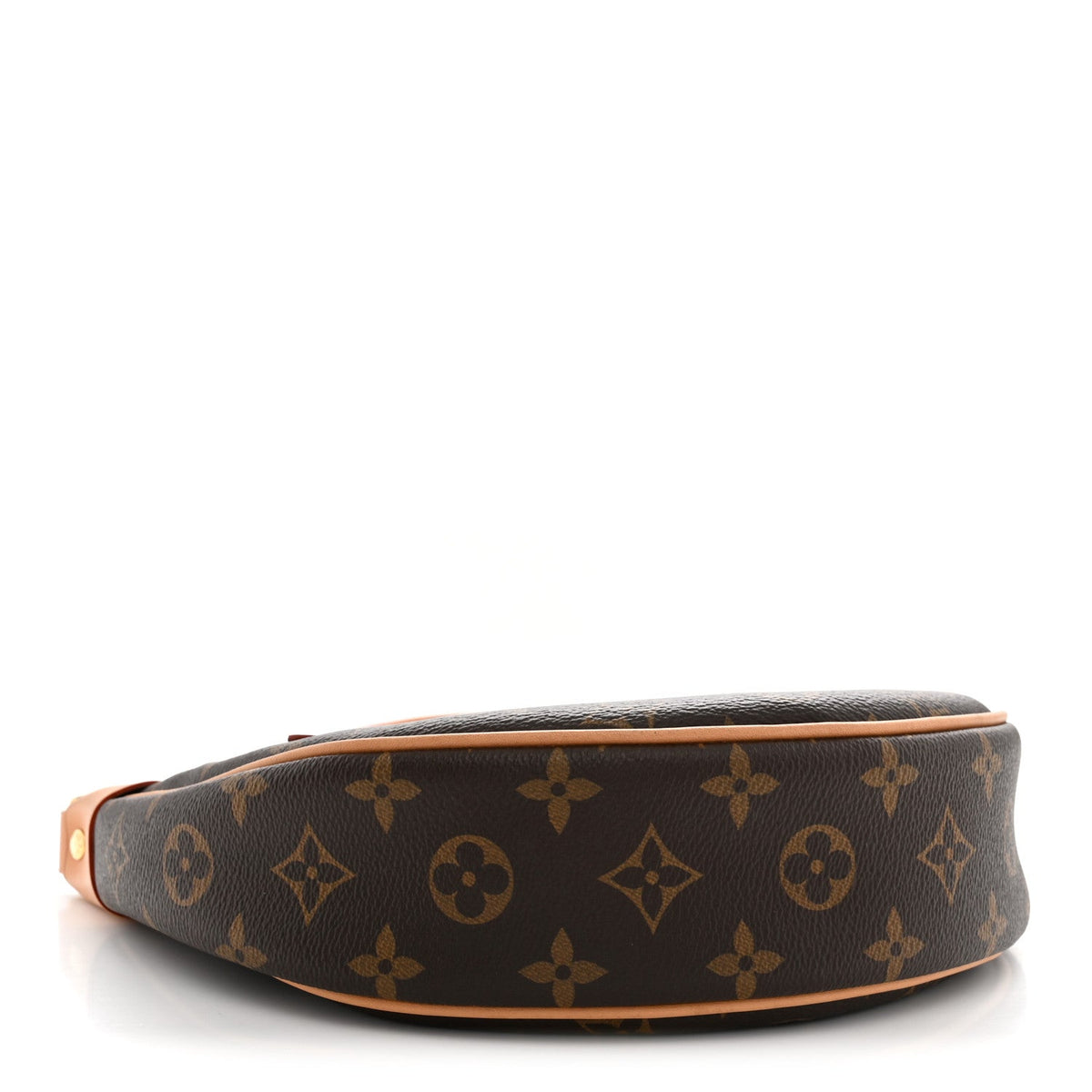 Louis Vuitton Monogram Loop 1985352