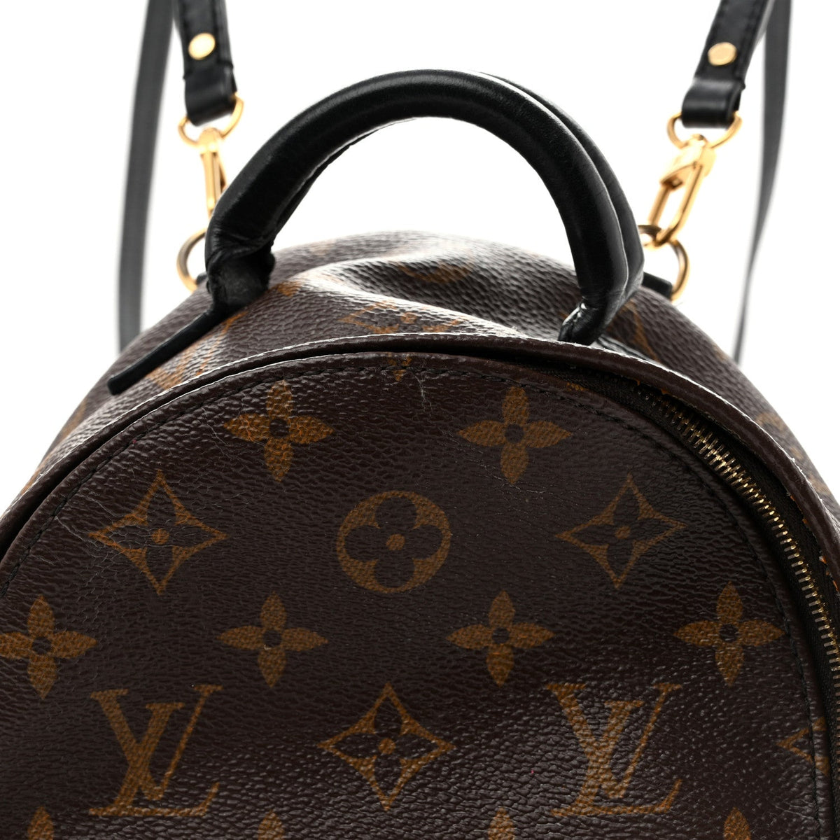 Louis Vuitton Monogram Palm Springs Backpack Mini 1987302