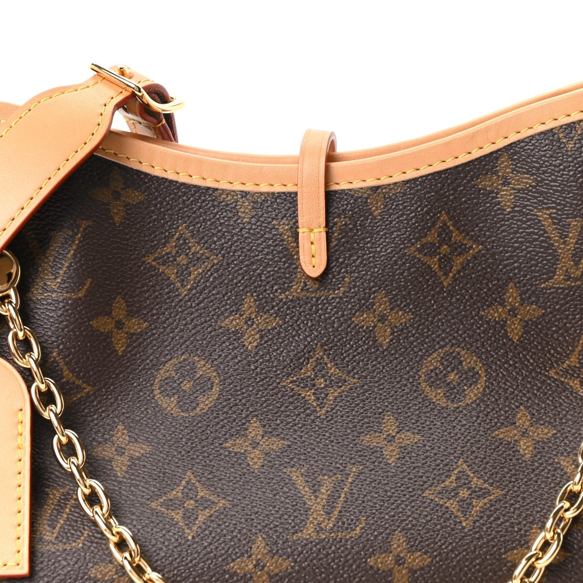 Louis Vuitton Monogram CarryAll BB Brown