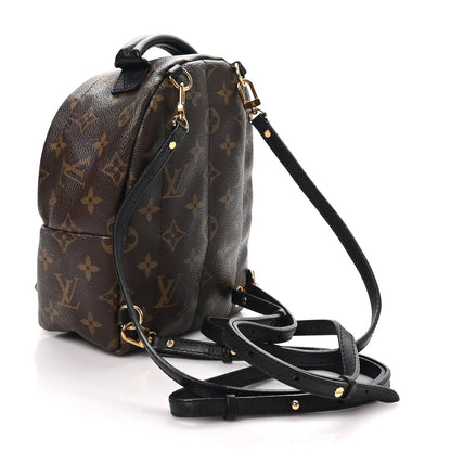 Louis Vuitton Monogram Palm Springs Backpack Mini