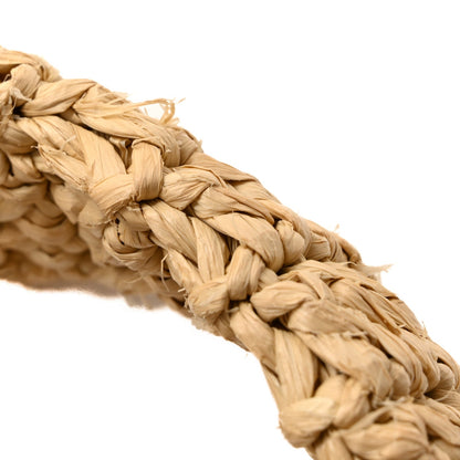 Saint Laurent Raffia Rive Gauche Tote Natural