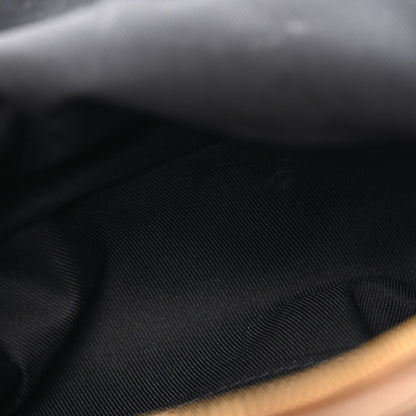Louis Vuitton Reverse Monogram Palm Springs Backpack Mini