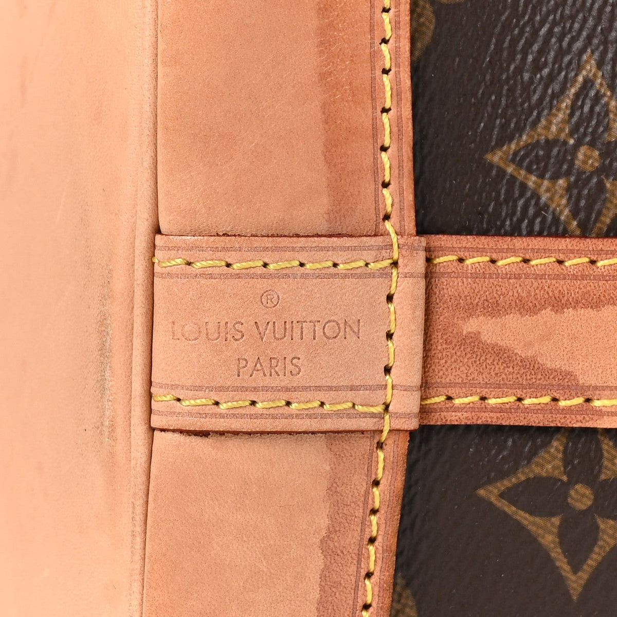 Louis Vuitton Monogram Petit Noe NM