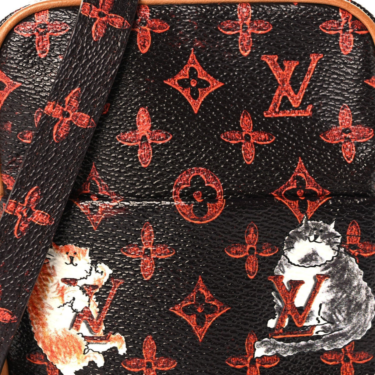 Louis Vuitton Catogram Small Paname Marron
