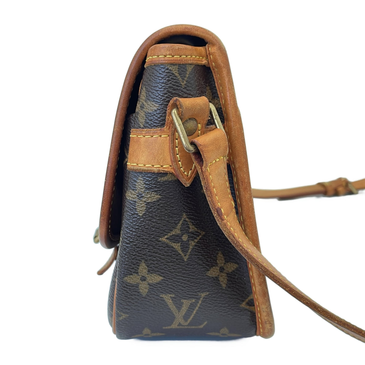 Sologne Handbag Monogram Canvas