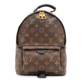 Palm Springs Backpack Monogram Canvas PM