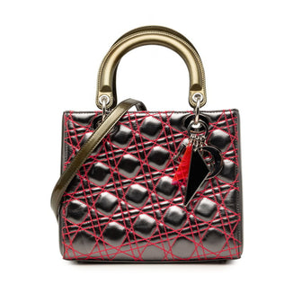 Lady Dior Bag Anselm Reyle Cannage Quilt Leather Medium
