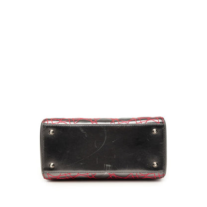 Lady Dior Bag Anselm Reyle Cannage Quilt Leather Medium