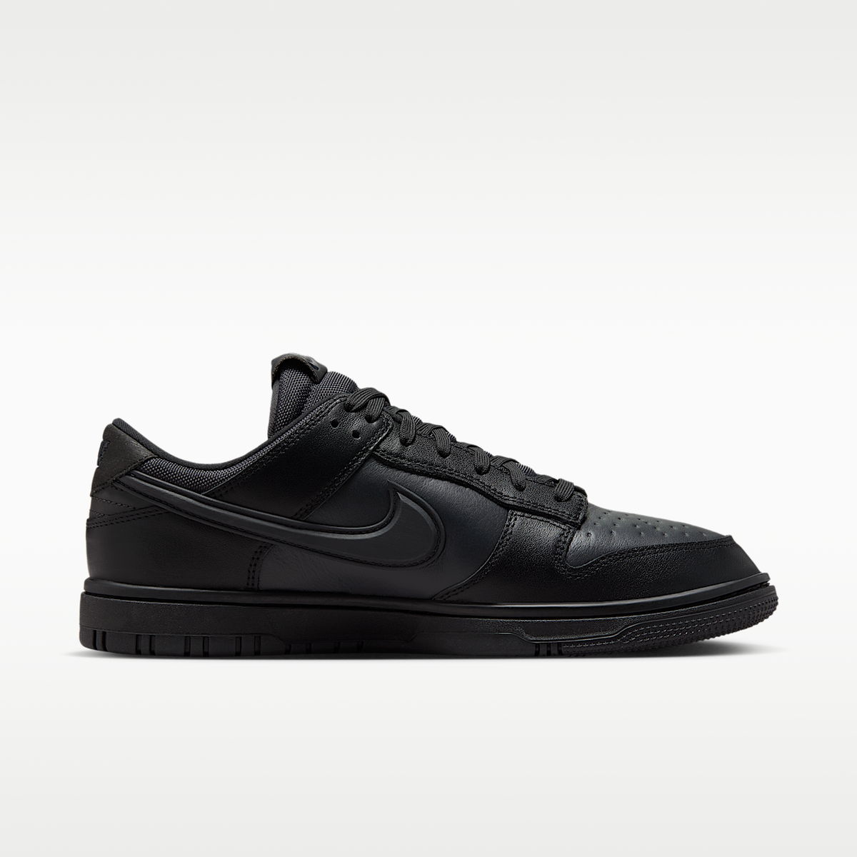Nike Dunk Low GORE-TEX Men's Shoes HQ2053-001