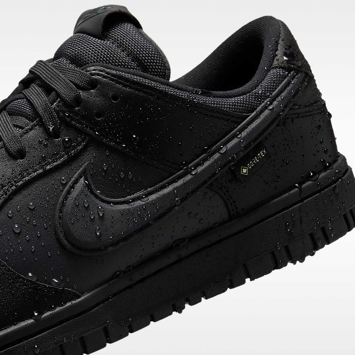 Nike Dunk Low GORE-TEX Men's Shoes HQ2053-001