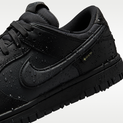 Nike Dunk Low GORE-TEX Men's Shoes HQ2053-001