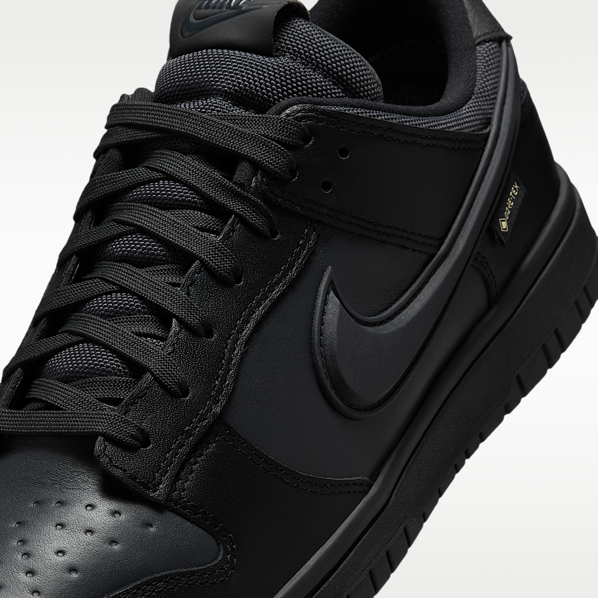 Nike Dunk Low GORE-TEX Men's Shoes HQ2053-001