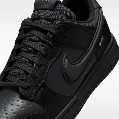 Nike Dunk Low GORE-TEX Men's Shoes HQ2053-001