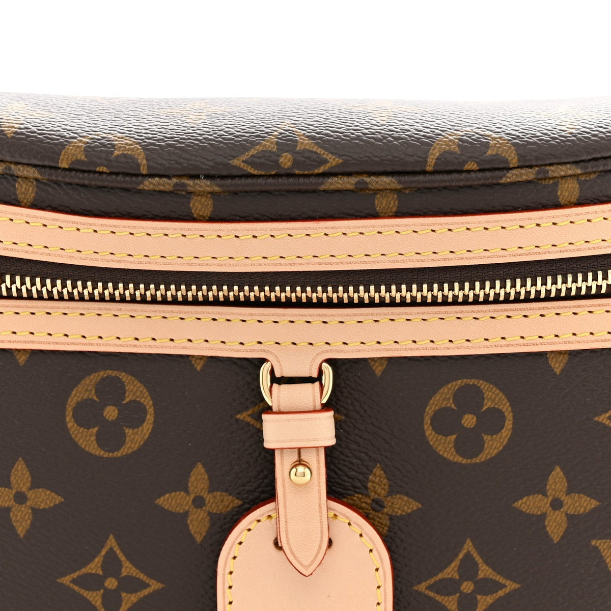 Louis Vuitton Monogram High Rise Bumbag