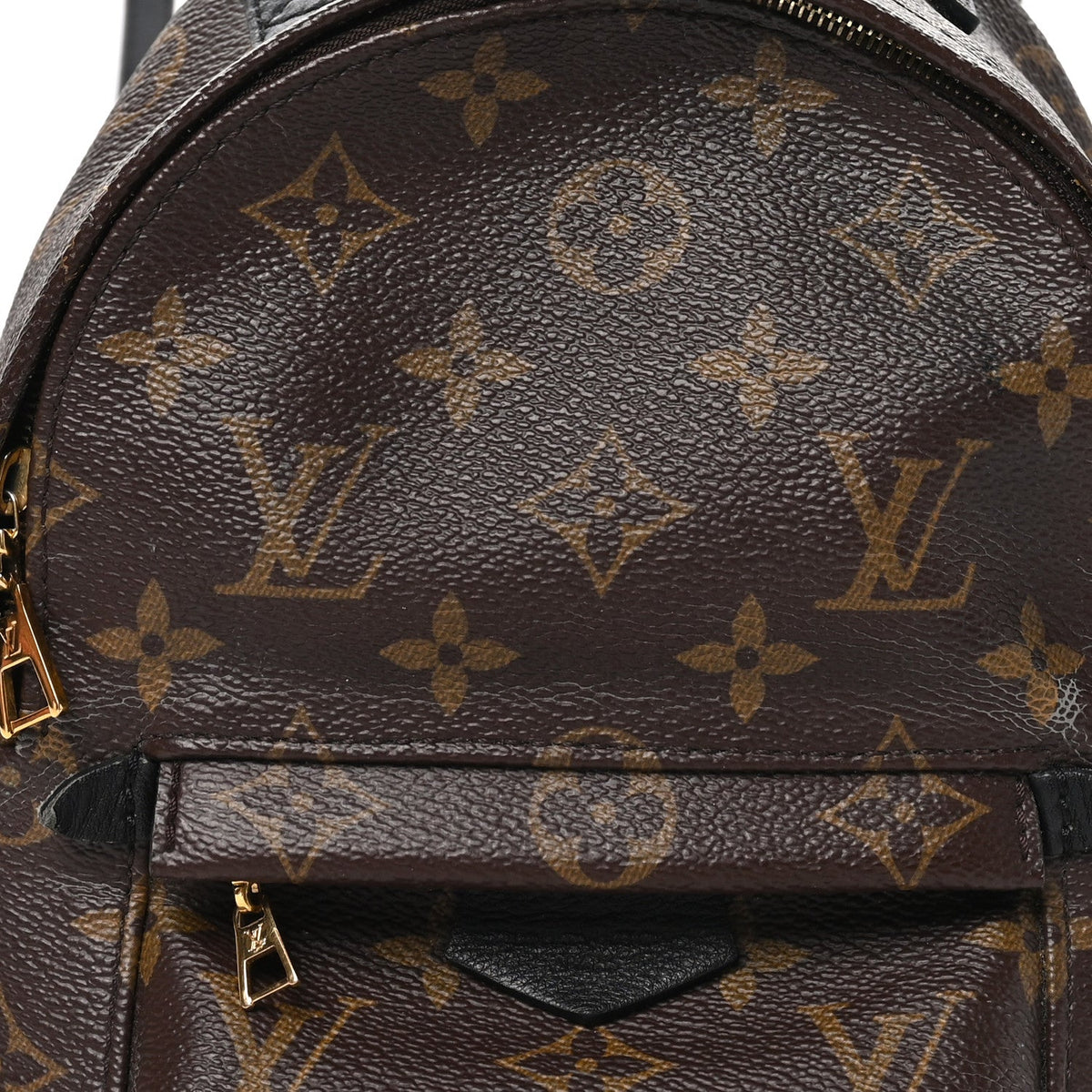 Louis Vuitton Monogram Palm Springs Backpack Mini