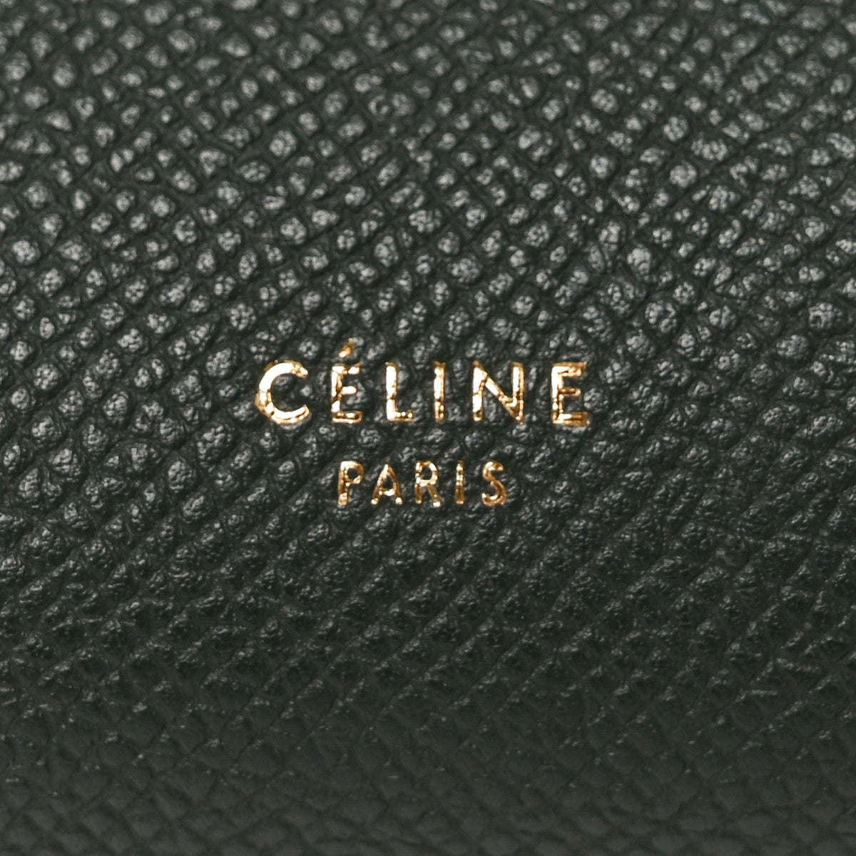Celine Grained Calfskin Mini Belt Bag Amazone