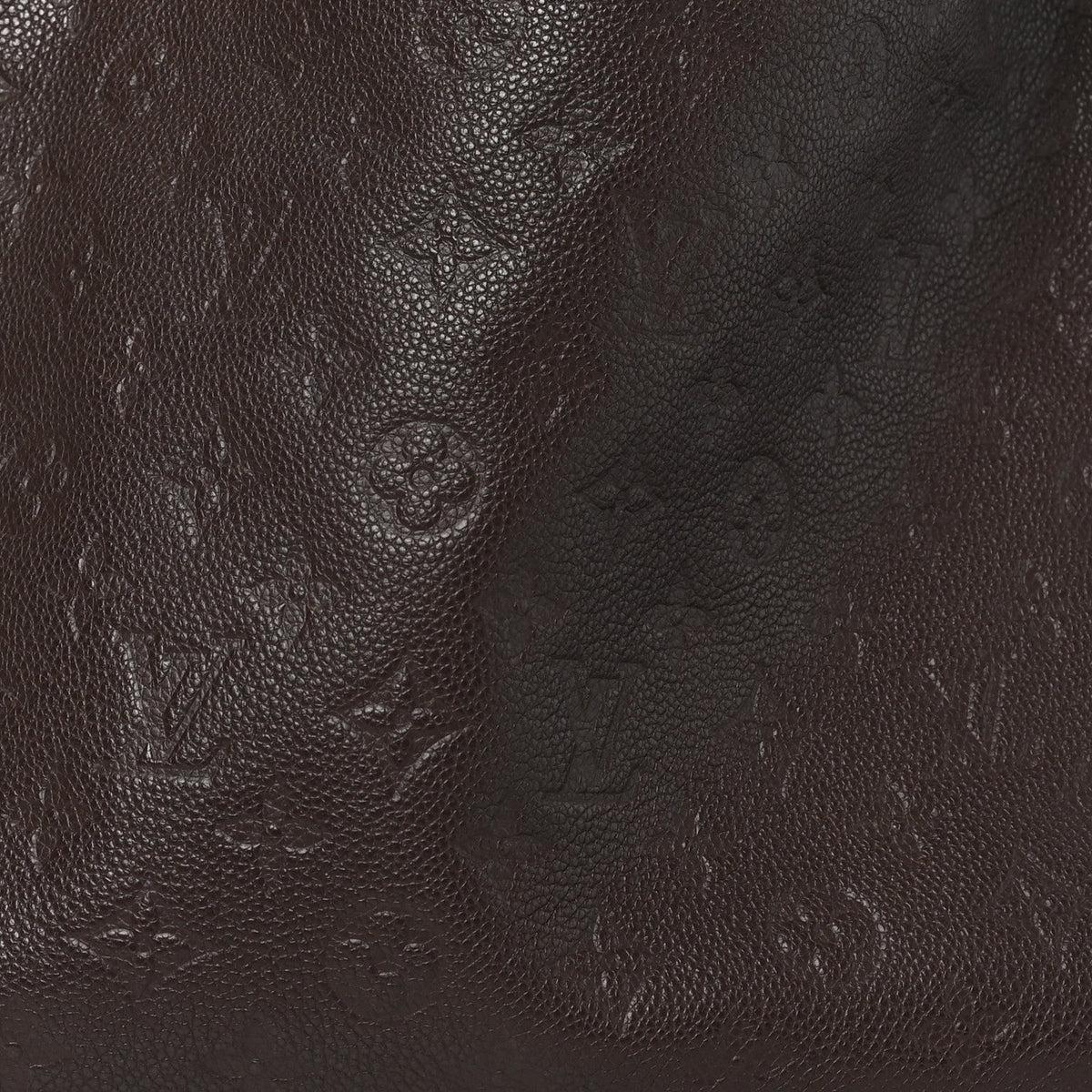 Louis Vuitton Empreinte Artsy MM Terre
