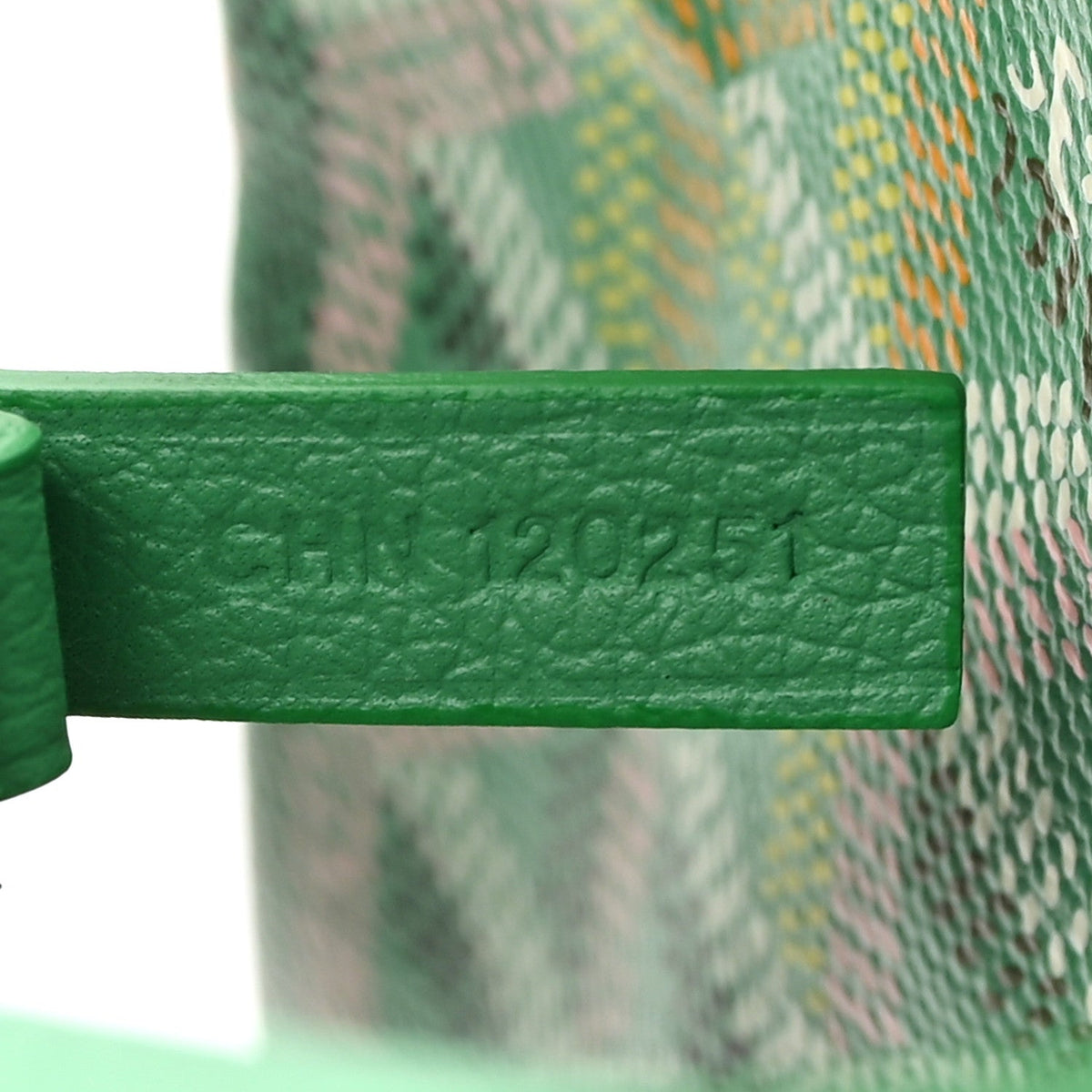 Goyard Goyardine Saint Louis PM Meadow Green 1893063