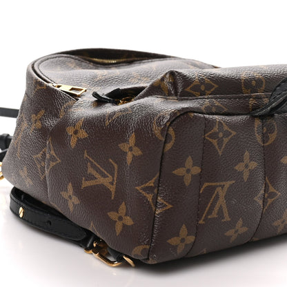 Louis Vuitton Monogram Palm Springs Backpack Mini