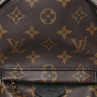Louis Vuitton Monogram Canvas Palm Springs Backpack Mini Brown